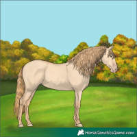 Horse Color:Gold Champagne Dun Rabicano 