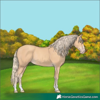 Horse Color:Gold Champagne Rabicano
