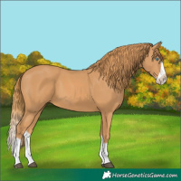 Horse Color:Chestnut Splash Frame 