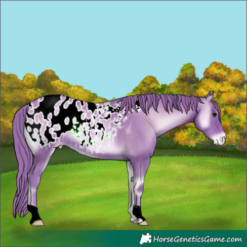 Horse Color:Watercolor Blue Onyx Pearl Appaloosa 