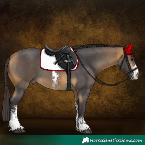 Horse Color:Buckskin Sabino 