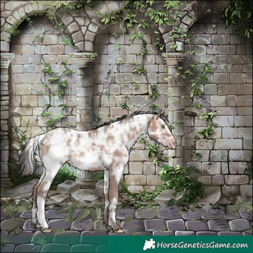 Horse Color:White Spotted Sable Champagne Ice
