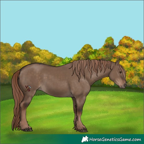 Horse Color:Liver Red Dun Rabicano