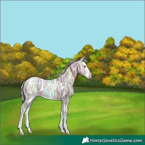 Horse Color:White Spotted Silver Brown Ice Splash Varnish Rabicano 
