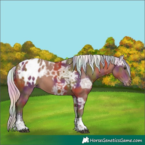 Horse Color:Powder White Nacre Silver Bay Ice Tobiano Appaloosa 
