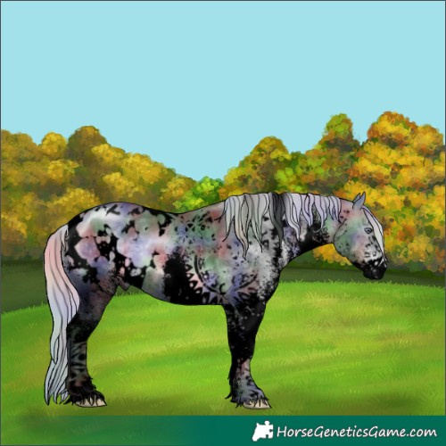 Horse Color:Void Nacre White Spotted Silver Brown Chinchilla 