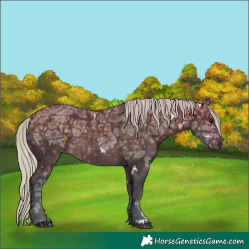 Horse Color:White Spotted Silver Buckskin Ice 