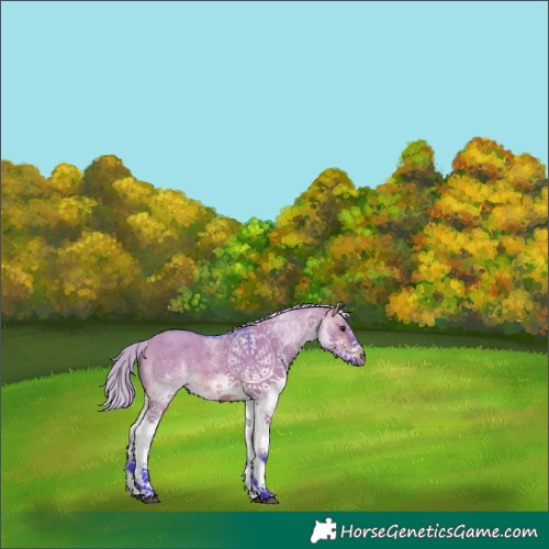 Horse Color:Watercolor White Spotted Silver Brown Dun 