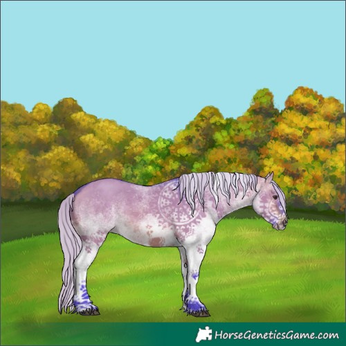 Horse Color:Watercolor White Spotted Silver Brown Dun 