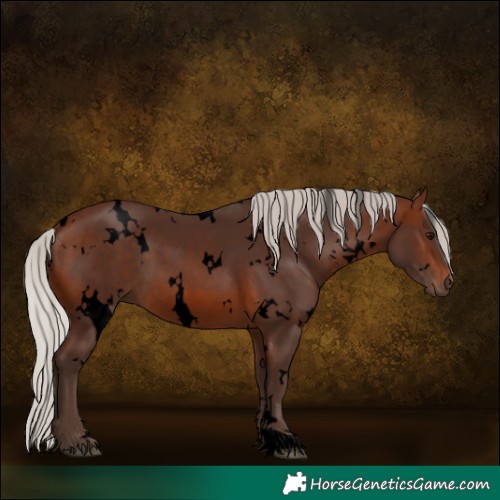 Horse Color:Void White Spotted Silver Brown 