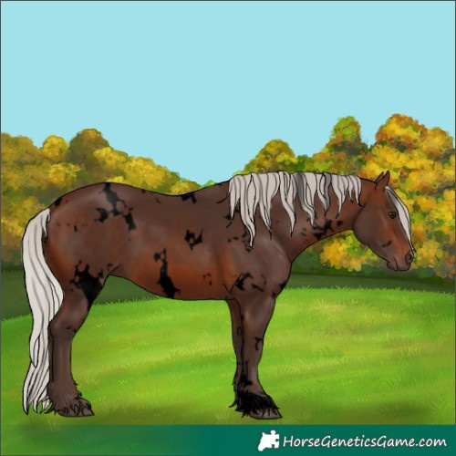 Horse Color:Void White Spotted Silver Brown 
