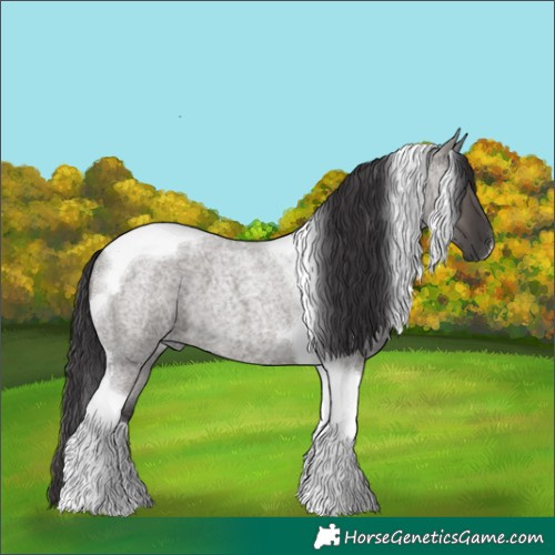 Horse Color:Smoky Grullo Roan Tobiano