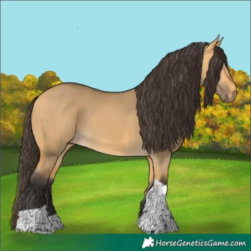 Horse Color:Buckskin Dun Tobiano 