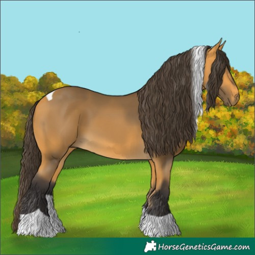 Horse Color:Buckskin Tobiano