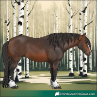 Horse Color:Brown 