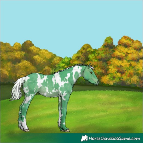 Horse Color:Watercolor White Spotted Silver Brown