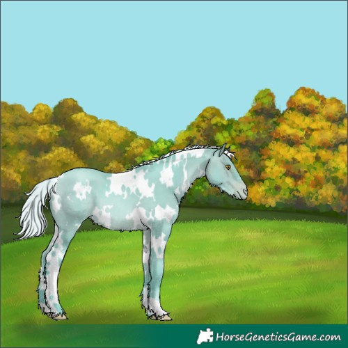 Horse Color:Watercolor White Spotted Silver Brown Pearl 