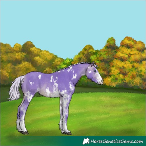 Horse Color:Watercolor White Spotted Silver Bay Chinchilla 
