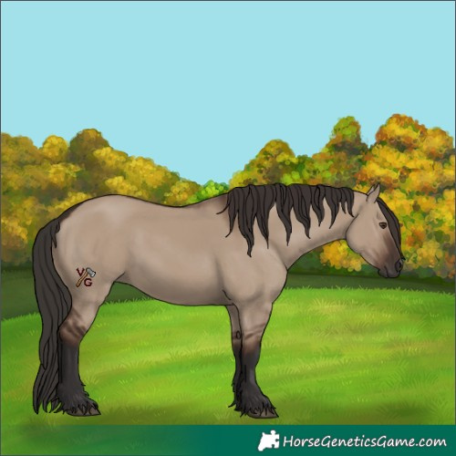 Horse Color:Liver Red Dun Rabicano 