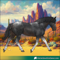 Horse Color:Brown Tobiano 
