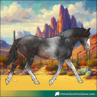 Horse Color:Brown Tobiano