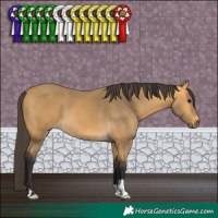 Horse Color:Buckskin