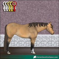 Horse Color:Buckskin