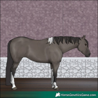 Horse Color:Smoky Grullo Tobiano