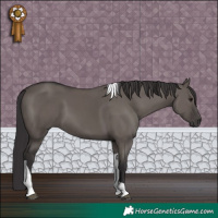 Horse Color:Smoky Grullo Tobiano