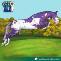 Horse Color:Watercolor Silver Brown Frame Blanket