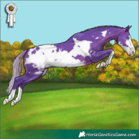 Horse Color:Watercolor Silver Brown Frame Appaloosa