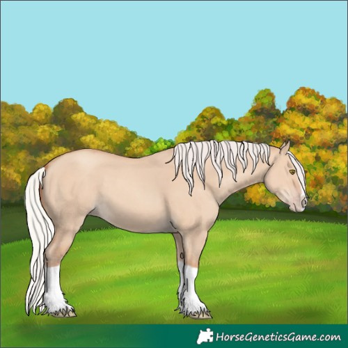 Horse Color:Silver Classic Champagne Dun Splash Frame