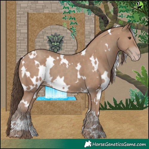 Horse Color:White Spotted Classic Champagne 