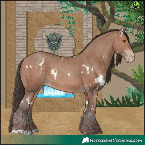 Horse Color:White Spotted Sable Champagne 