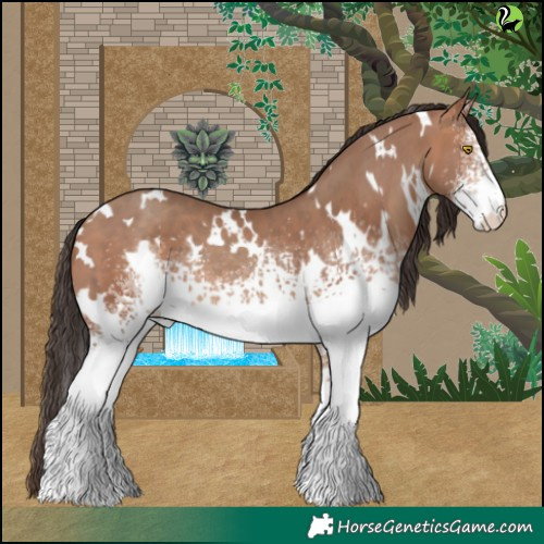 Horse Color:White Spotted Sable Champagne