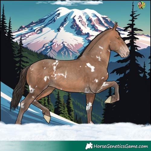 Horse Color:White Spotted Sable Champagne