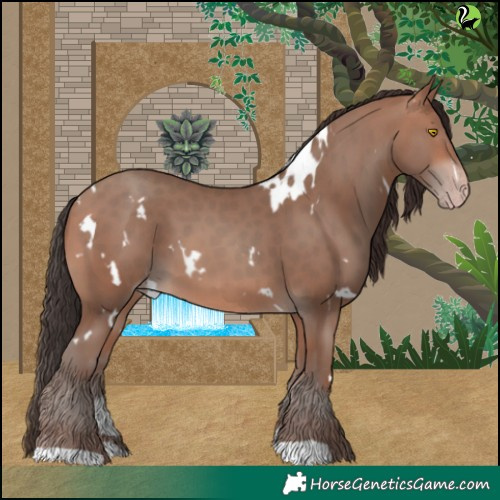 Horse Color:White Spotted Sable Champagne