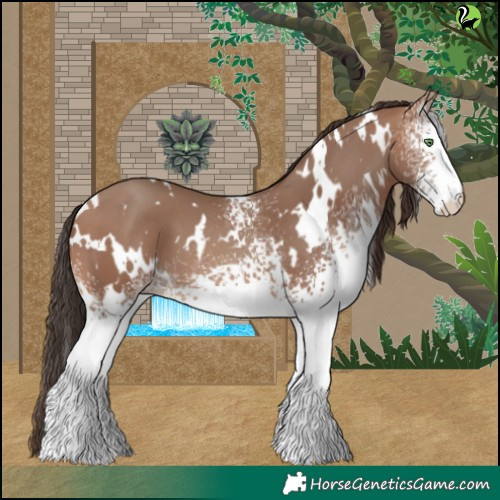 Horse Color:White Spotted Sable Champagne 