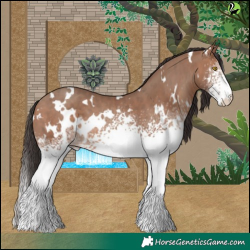 Horse Color:White Spotted Sable Champagne 