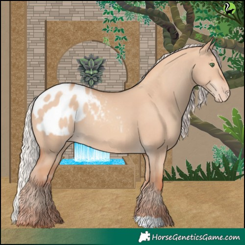 Horse Color:Silver Classic Champagne Dun Appaloosa 