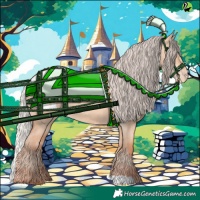 Horse Color:Silver Classic Champagne Dun Blanket 
