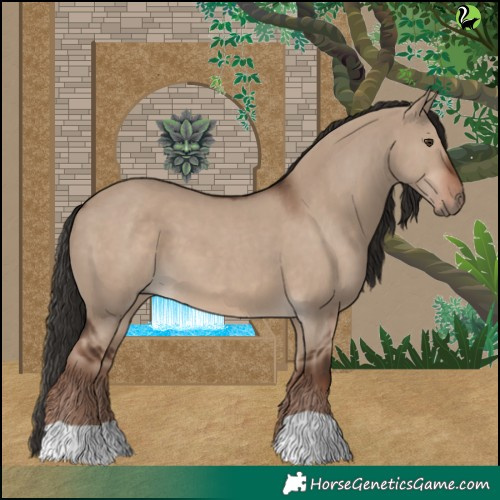 Horse Color:Liver Red Dun