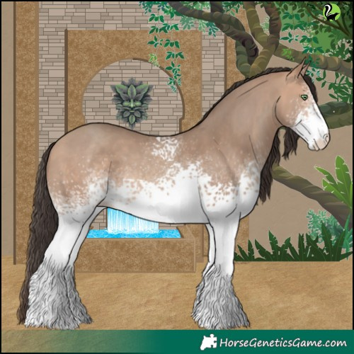 Horse Color:White Spotted Amber Champagne