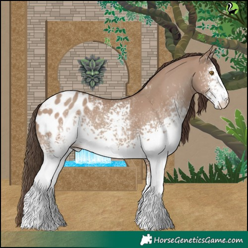 Horse Color:White Spotted Classic Champagne Appaloosa 