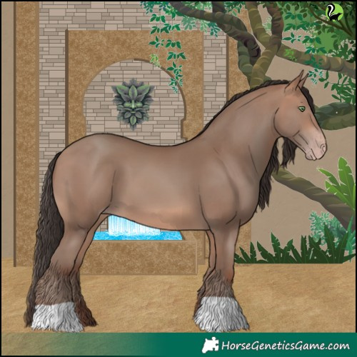 Horse Color:Sable Champagne