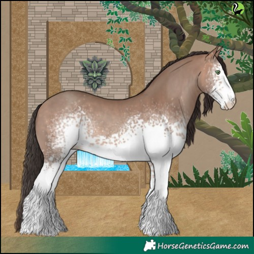 Horse Color:White Spotted Sable Champagne