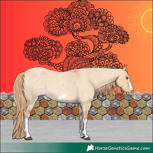 Horse Color:Red Dun Roan Splash Frame Rabicano