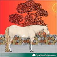 Horse Color:Red Dun Roan Splash Frame Rabicano 