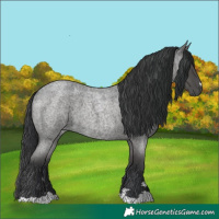Horse Color:Blue Roan 