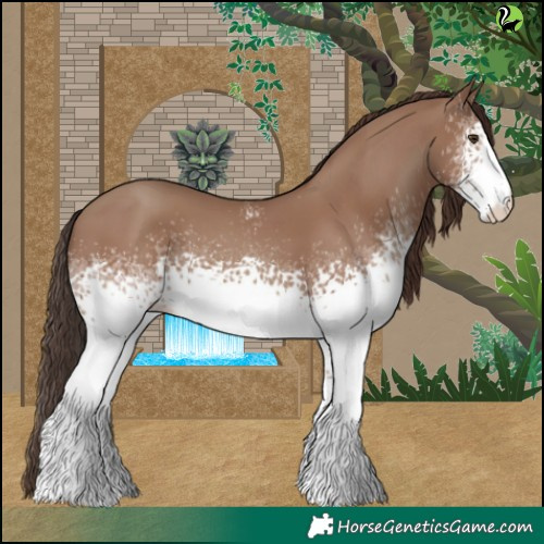 Horse Color:White Spotted Classic Champagne